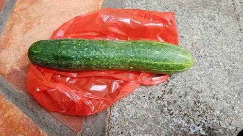 山东生瓜怎么吃,解锁夏日清新美味