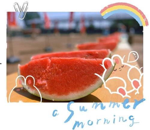 2024免费吃瓜,揭秘娱乐圈幕后大事件