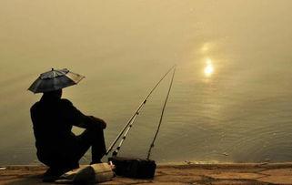 钓鱼吃瓜路人视频,钓鱼吃瓜路人视频引发网友热议