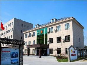 嘉兴硖石街道吃瓜,夏日吃瓜盛宴,品味传统与现代交融的街头风情