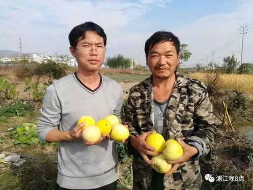 吃瓜群众240,揭秘网络热议背后的真相