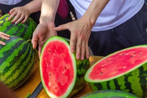 云南的大学吃瓜,瓜香四溢的味蕾之旅