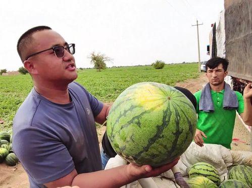 双龙湖 吃瓜,吃瓜群众热议风云