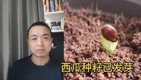 吃瓜听见情侣吵架,情侣争吵背后的情感纠葛