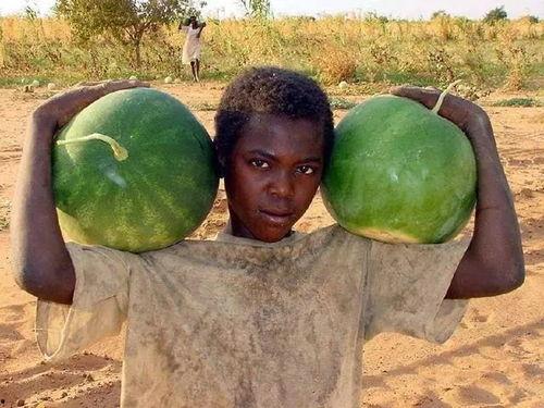 如何对付黑人吃瓜,巧妙应对黑人吃瓜现象的策略解析