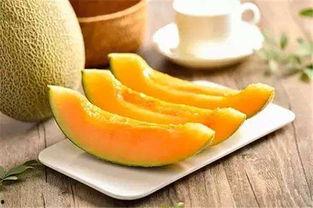 吃货瓜瓜不吃瓜,不尝不罢休