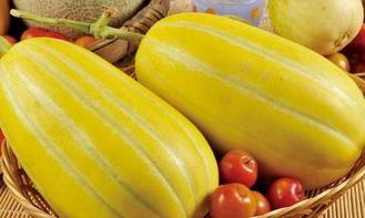 栗瓜怎样吃,从家常到创意料理