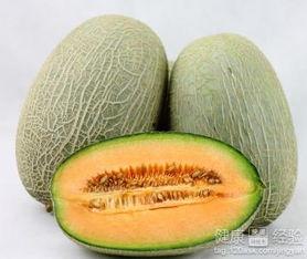 悟空吃哈密瓜,美味之旅开启