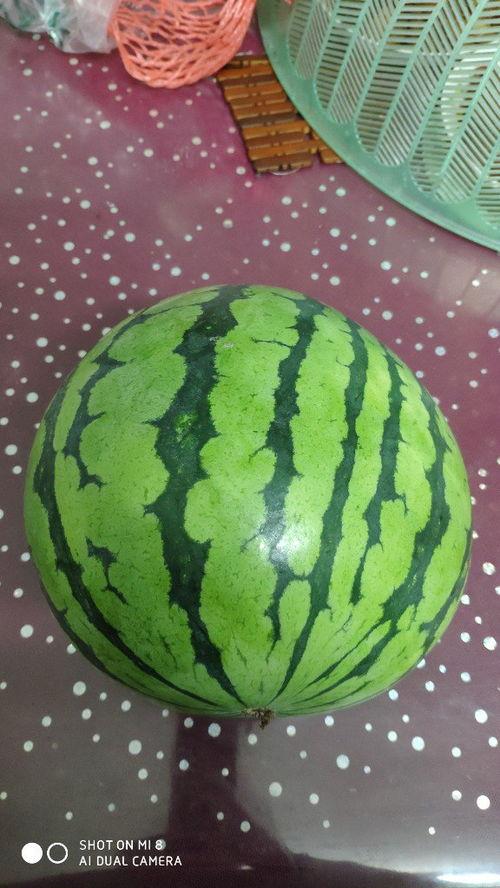 吃拉瓜涨肚子,吃出健康，涨肚子也快乐