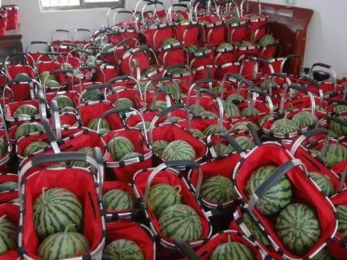 连云港吃瓜群,揭秘网络社交的趣味与争议