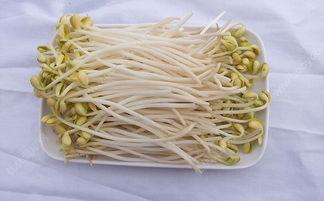 吃瓜的豆芽妹,揭秘娱乐圈那些事儿