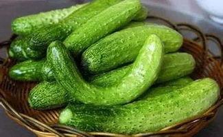 盐城人在吃瓜,品味生活，共享欢乐时光