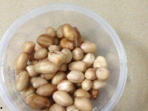 蓝瓜和麦片花生一起吃吗,美味搭配的神奇组合