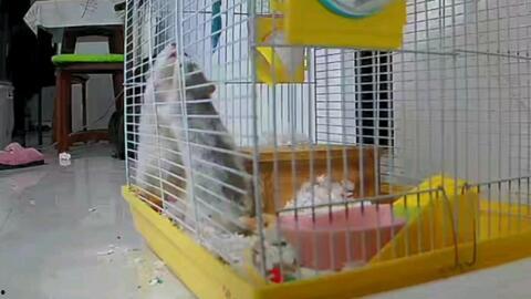 吃瓜群众打架斗嘴,吃瓜群众斗嘴风云录