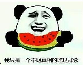 吃瓜群众打架斗嘴,吃瓜群众斗嘴风云录