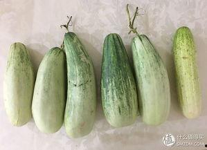 吃瓜意外经历,揭秘娱乐圈背后的惊人真相