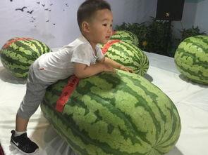 王者吃瓜事件图片大全