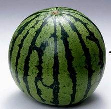 免费吃瓜图片大全,趣味横生的视觉盛宴