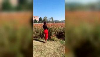 吃瓜神探介绍,揭秘娱乐圈背后的真相与谜团