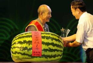 印尼吃瓜,揭秘热带国度里的“吃瓜”文化