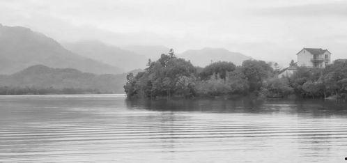 湖心亭吃瓜,揭秘网红打卡地的幕后故事