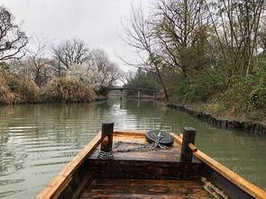 湖心亭吃瓜,揭秘网红打卡地的幕后故事