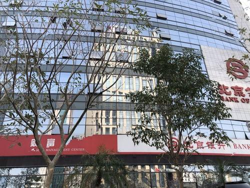 滨海大厦吃瓜视频,揭秘网红楼内的真实生活