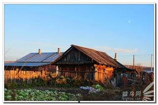 明德院亭子吃瓜,夏日吃瓜避暑，共享清凉时光