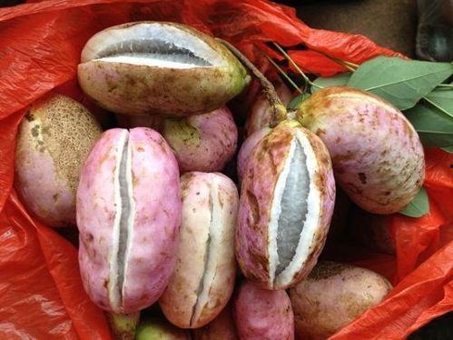 你有多长时间没吃八月瓜,回忆中的甜蜜时光