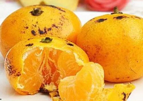 桔子瓜如何吃,从传统到创新的美味之旅