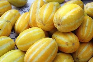 吃瓜这瓜好甜什么意思,揭秘“吃瓜这瓜好甜”背后的甜蜜故事