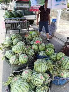 阜宁吃瓜事件,一场网络舆论的风波与反思