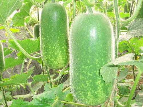 晴栀吃瓜,揭秘娱乐圈那些不为人知的幕后故事