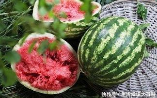 肝癌可以吃瓜吗,瓜类食物的适宜与禁忌