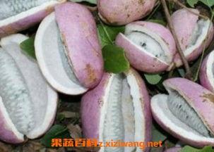 都在吃恩施的瓜,全民共享甜蜜时光