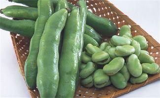 蚕豆和佛手瓜能一起吃吗,兼容性探讨与食用建议
