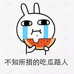 关于吃瓜歌曲,跟随吃瓜歌曲，一起品味生活百态