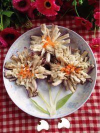 吃矮菊瓜好吗,矮菊瓜的营养价值与食用益处解析