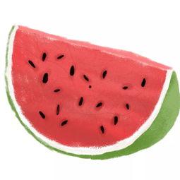 坐在瓜皮里吃瓜,一场别开生面的夏日食趣之旅