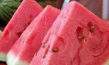 坐在瓜皮里吃瓜,一场别开生面的夏日食趣之旅