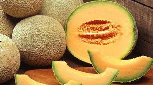 巧吃哈密瓜,解锁夏日清凉美食新体验