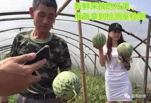 吃瓜直播流量塌方,揭秘背后真相与行业反思