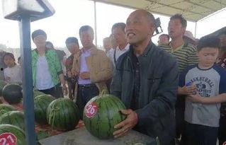 吃瓜群众凯里,揭秘娱乐圈幕后故事