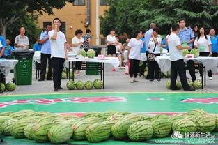 节目现场吃瓜,揭秘节目幕后真相