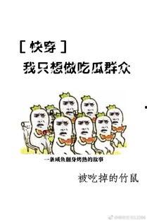 快穿前排吃瓜