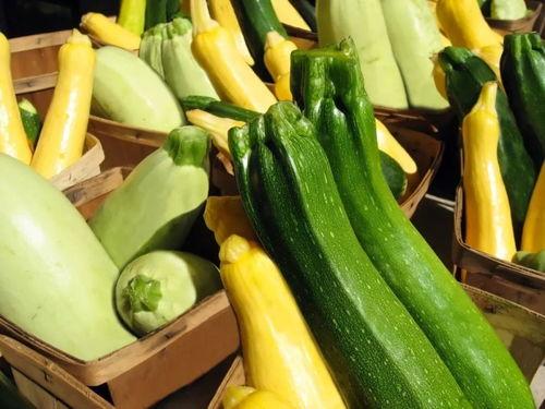 带你吃瓜成都,跟随“带你吃瓜”解锁地道风味之旅