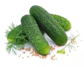 广瓜怎么吃,解锁美味新境界