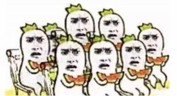 吃瓜队员回复情侣,情侣甜蜜互动背后的秘密