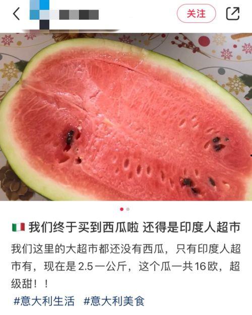 吃瓜国外,揭秘国际社会中的热点追踪与娱乐心态