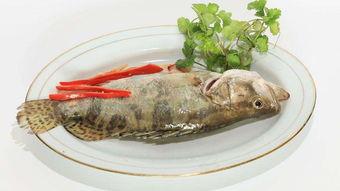 苕瓜能和鳜鱼一起吃吗,健康搭配的饮食新选择